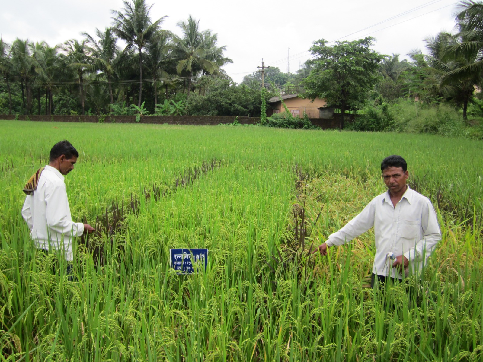 Sustainable Agriculture Training
